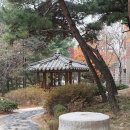 성현동-25 이미지
