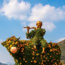 국화공원 이미지