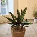 혜은농장 이미지