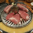 제주도야지 - 중구 백운로186번길 127 | 제주도야지