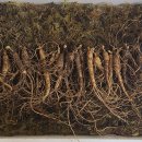 강원도 횡성군 횡성읍 화성로 이미지