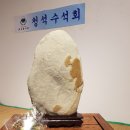 제40회 (사)인천수석인연합회 회원전 이미지