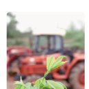 천지원 농장 이미지