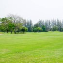 수림지 파크골프장2 이미지