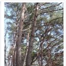 굴봉산역 이미지