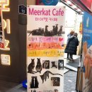 에덴미어캣프랜즈 | 명동 미어캣카페 에덴미어캣프랜즈 후기 심쿵당할 준비 되셨나요