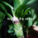 최유미아카데미 이미지