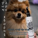 강아지·고양이 사용가능 미스트｜디얼스코 아이엠 머드 미스트 솔직 후기