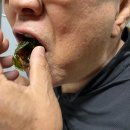 제주본가 이미지