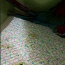 닥터홍 동물병원 이미지