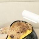 비티와이플러스 이미지