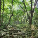 천상데미 | 진안 천상데미 등산코스 산행지도♧섬진강 발원지 데미샘 자연휴양림 순환회귀 5.1km 최단코스