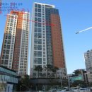 강남-276 이미지