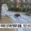 시고개농원 네이버블로그
