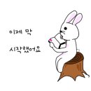 마인드마이너