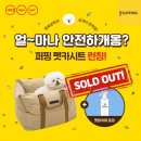 종합카시트 이미지
