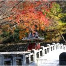 강천산 길 이미지