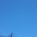 경기도 수원시 영통구 청명남로4번길 이미지