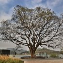 팔당물안개공원 이미지