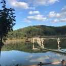 안동영가찜닭 이미지