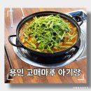 동태마루 | 용인 한식 고매마루 아기랑 방문