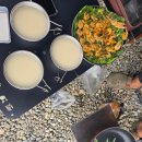 15번식당 | 삼척 장호비치캠핑장 C15번 사이트 후기