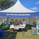 공주-70 이미지