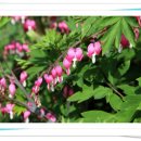 어시장길 이미지