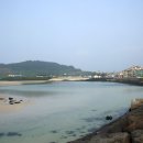 씨에코비치 이미지