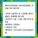 제암산자연휴양림 더늠길 | 보성 제암산 자연 휴양림 차향기 가득한집 1호