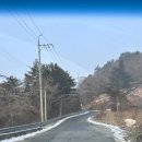 운석농장 | 2512 포천 나들이ㅣ동물 좋아하는 사람들의 천국 테디베어 소 마이애니멀 스토리 in 평강랜드