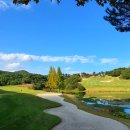 파인밸리 컨트리클럽 이미지