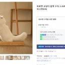 로켓고양이