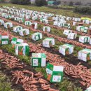 일우민박 이미지