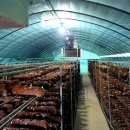 이인농장 이미지