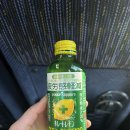 깃발목장 | 나고야 다카야마 &amp; 시라카와고 버스 투어 추천 내돈내산 후기 1월 옷차림