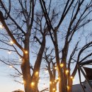 저수지상회 이미지