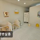 오댕펫살롱 | (수원, 강아지, 고양이, 애견미용, 추천!) 오댕펫살롱 수원 오댕펫살롱, 친절한 서비스