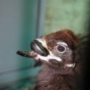 인계동 수원시청앞(옆) 이미지