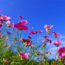 좋은사람들 이미지