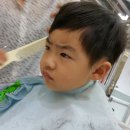 컷트하다
