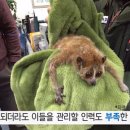 국립생태원동물병원 이미지