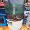 국가대표 민물장어 무한리필 이미지