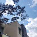 토속칼국수 - 강동구 양재대로113길 8 | 토속칼국수