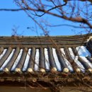 정자형가옥 이미지