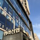 요가YOU | 오붓패스로 제주 요가 체험 수업 후기 뿌루나요가원 예약 할인코드