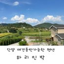 하리민박 이미지