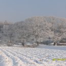 서봉1구 이미지