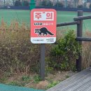 호수공원_중앙광장 | 서울 벚꽃 산책, 경의선광장과 서서울 호수공원 후기