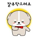 이모네용두동 신쭈꾸미